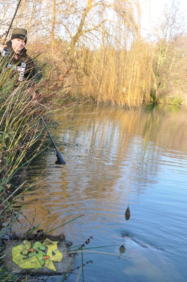 E-S-P - 482353101515908586747391150883117n.jpg